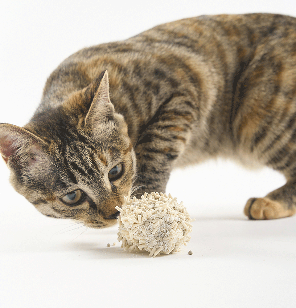 Granulado Higiênico Pidan Tofu com Areia Sanitária para Gatos Grãos Médios - 3,6Kg