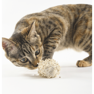 Granulado Higiênico Pidan Tofu com Areia Sanitária para Gatos Grãos Médios