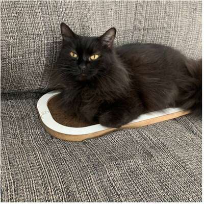 Brinquedo Arranhador Bastet MDF Branco