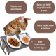 Comedouro Duplo Bastet Hórus para Gatos Cinza