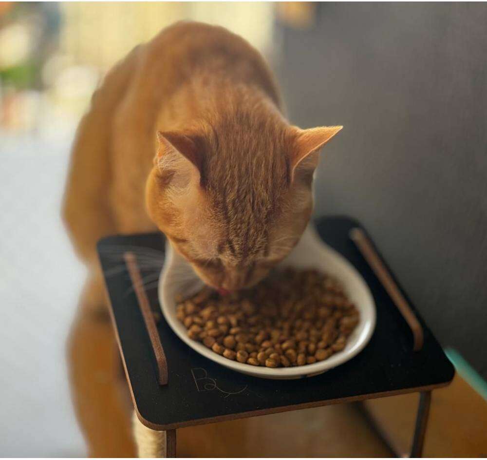 Comedouro Bastet Hórus para Gatos Preto - Tam. Único