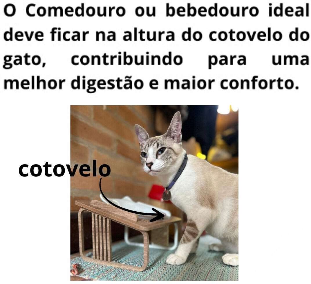 Comedouro Bastet Hórus para Gatos Madeirado - Tam. Único