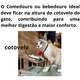 Comedouro Bastet Hórus para Gatos Madeirado