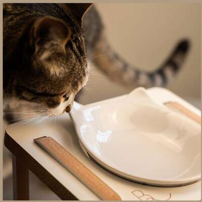 Comedouro Bastet Gigantes para Gatos Branco”