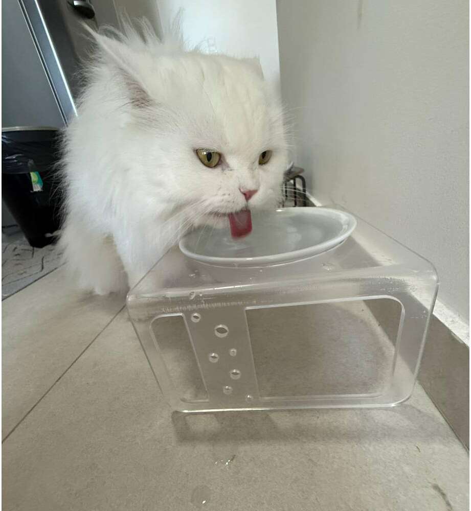 Bebedouro e Comedouro Bastet em Acrílico para Cães e Gatos Cristal - Tam. M