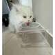 Bebedouro e Comedouro Bastet em Acrílico para Cães e Gatos Cristal