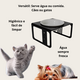Bebedouro e Comedouro Bastet em Acrílico para Cães e Gatos Preto