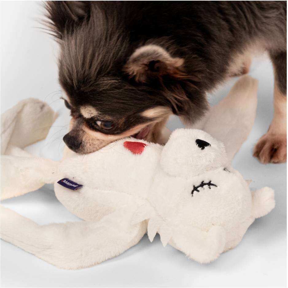 Pelúcia Gata Pirata Petlove para Cães - Tam. Único
