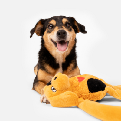 Pelúcia Cachorro Caramelo Petlove para Cães e Gatos