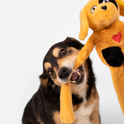 Pelúcia Cachorro Caramelo Petlove para Cães e Gatos