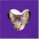 Casinha Arranhador Petlove para Gatos
