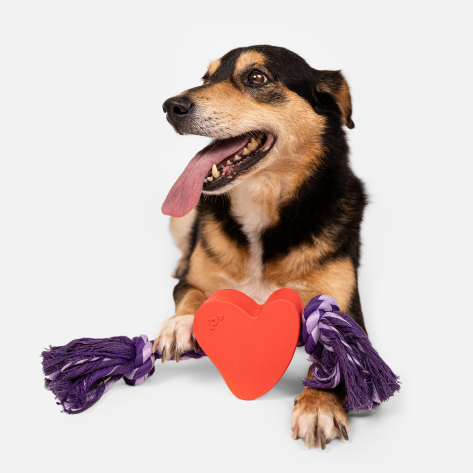 Mordedor Coração Petlove para Cães - Tam. Único