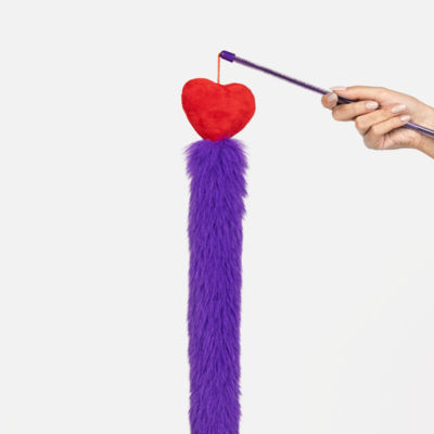Varinha Pompom Petlove para Gatos