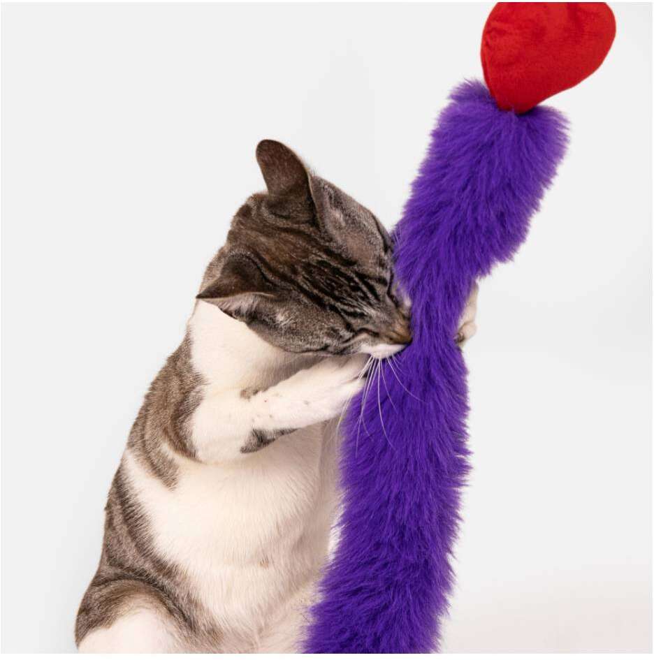 Varinha Pompom Petlove para Gatos - Tam. Único