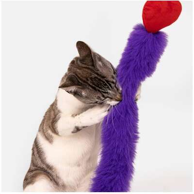 “Varinha Pompom Petlove para Gatos”