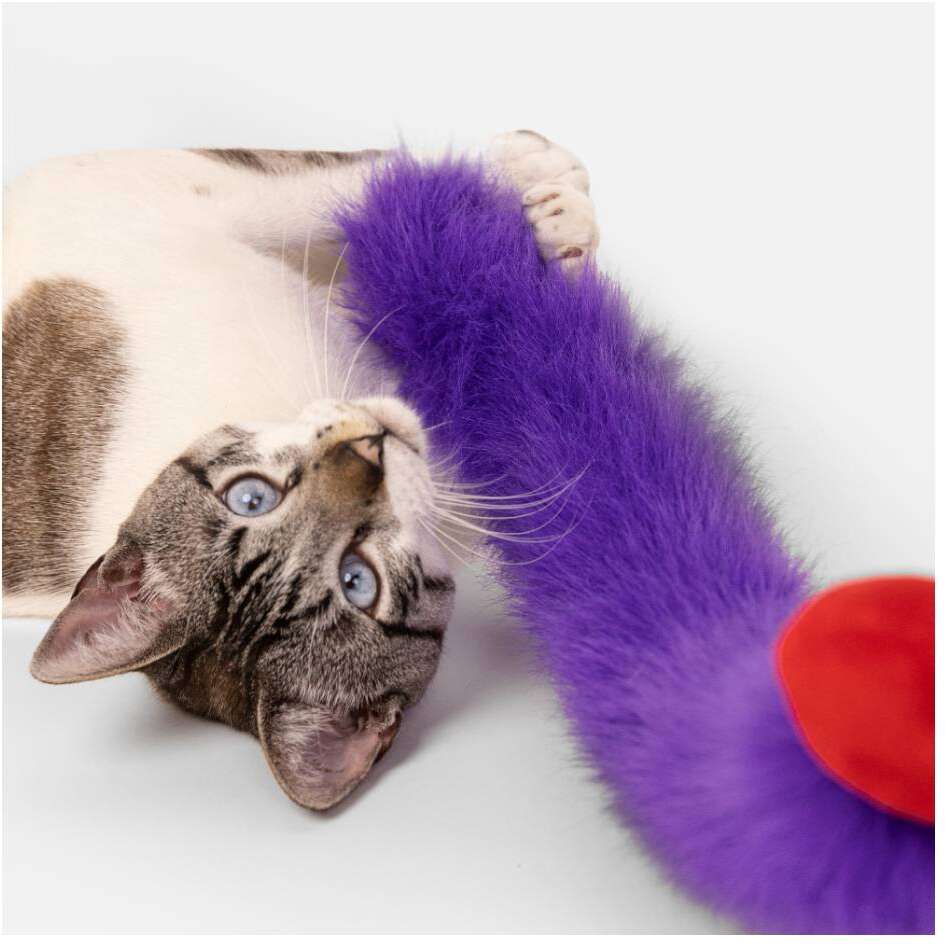 Varinha Pompom Petlove para Gatos - Tam. Único