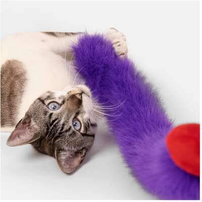 “Varinha Pompom Petlove para Gatos”