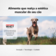 Ração Premiatta HD Alta Digestibilidade para Cães Adultos