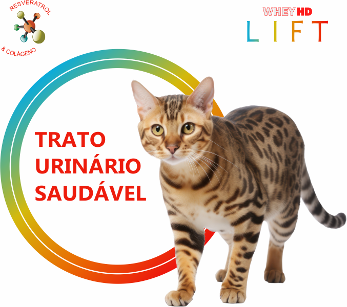 Ração Premiatta HD Alta Digestibilidade Lift para Gatos Castrados - 1Kg