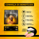 Ração Premiatta Classic para Cães de Raças Médias e Grandes