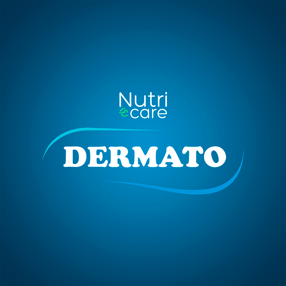 Ração Premiatta Nutri Care Fish & Rice Mini Bits para Cães Adultos - 3Kg