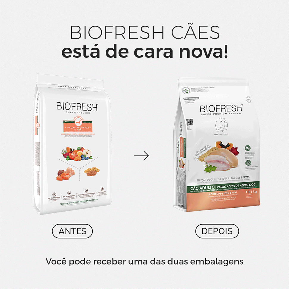 Ração Seca Biofresh Mix de Carne, Frutas, Legumes e Ervas Frescas Cães Adultos de Raças Pequenas e Minis - 10,1Kg