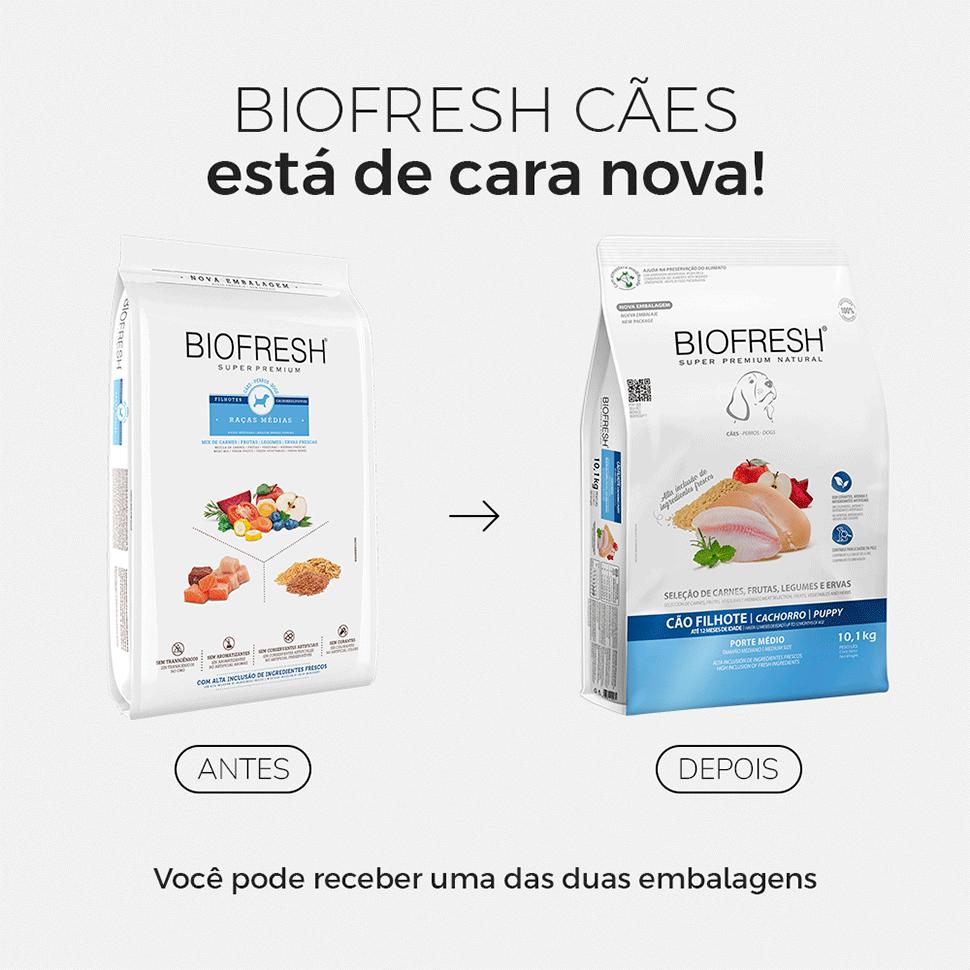 Ração Seca Biofresh Mix de Carne, Frutas, Legumes e Ervas Frescas Cães Filhotes de Raças Médias - 10,1Kg