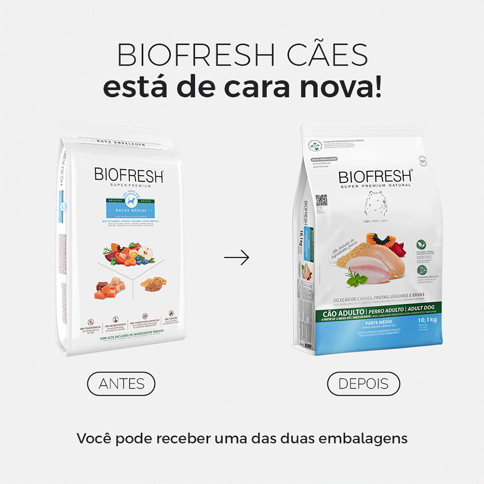 Ração Seca Biofresh Mix de Carne, Frutas, Legumes e Ervas Frescas Cães Adultos de Raças Médias - 10,1Kg
