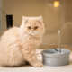 Fonte Bebedouro Porcelana Amicus Aqua para Cães e Gatos Cinza