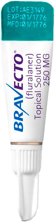Antipulgas Bravecto Transdermal 250 mg para Gatos de 2,8 a 6,25Kg - 1 Pipeta