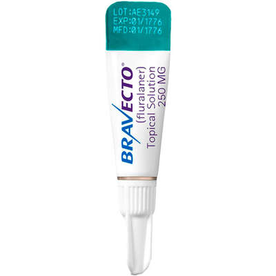 Antipulgas MSD Bravecto Transdermal 250 mg para Gatos de 2,8 a 6,25 Kg
