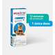 Antipulgas MSD Bravecto Transdermal 250 mg para Gatos de 2,8 a 6,25 Kg
