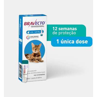 Antipulgas MSD Bravecto Transdermal 250 mg para Gatos de 2,8 a 6,25 Kg