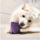 Brinquedo Quebra-Cabeça Tennis Tumble We Are Family Lilás para Cães
