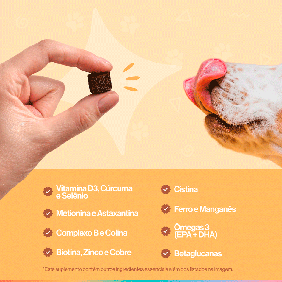 Suplemento Alimentar Buddy Nutrition Pele & Pelagem para Cães - 168 g