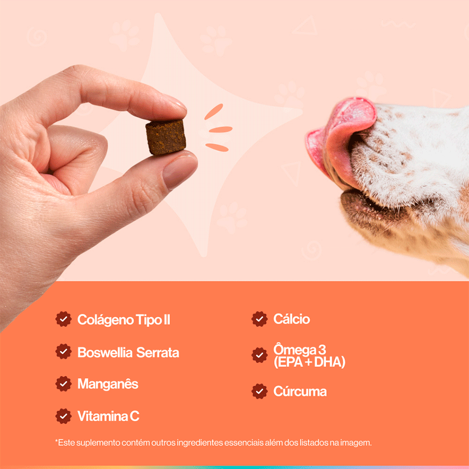 Suplemento Alimentar Buddy Nutrition Ossos & Articulações para Cães - 168 g