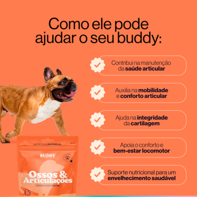 Suplemento Alimentar Buddy Nutrition Ossos & Articulações para Cães