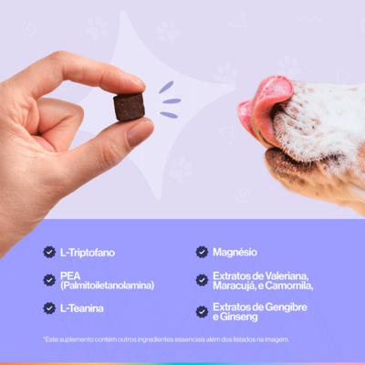 Suplemento Alimentar Buddy Nutrition Tranquilo & Calmo para Cães