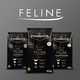 Ração Premiatta Feline para Gatos Castrados - 10,1 Kg