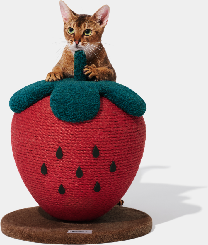Brinquedo Arranhador para Gatos Vetreska Strawberry - Tam. Único
