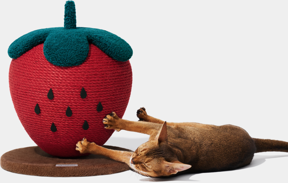 Brinquedo Arranhador para Gatos Vetreska Strawberry - Tam. Único
