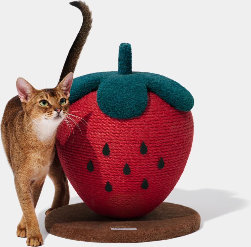 Brinquedo Arranhador para Gatos Vetreska Strawberry - Tam. Único