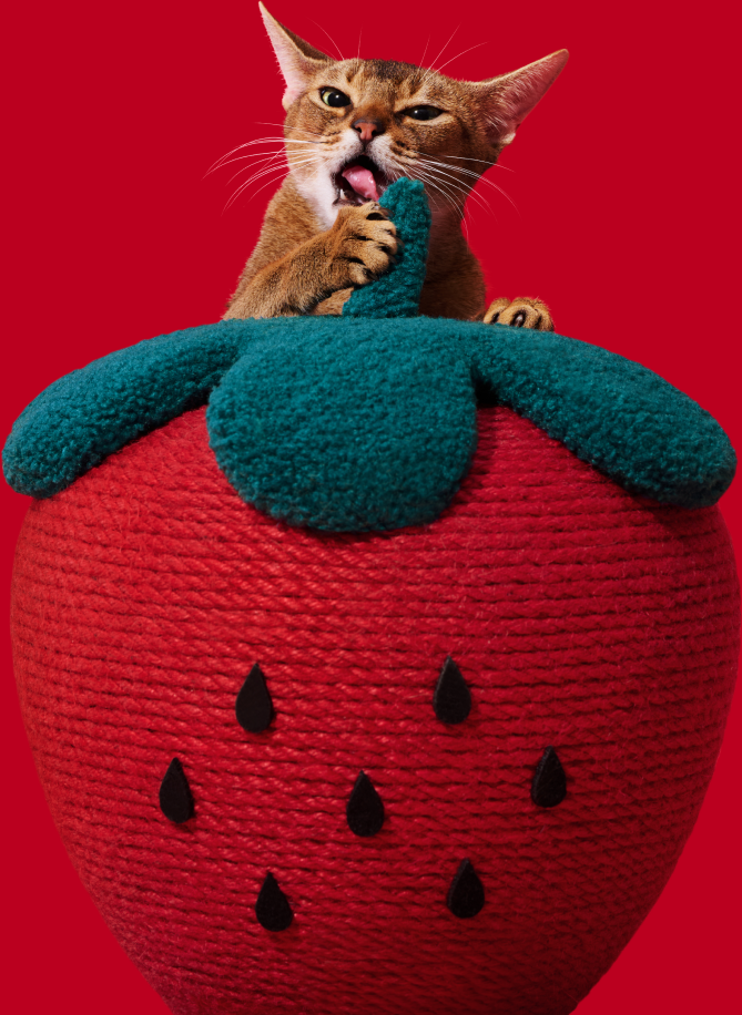 Brinquedo Arranhador para Gatos Vetreska Strawberry - Tam. Único