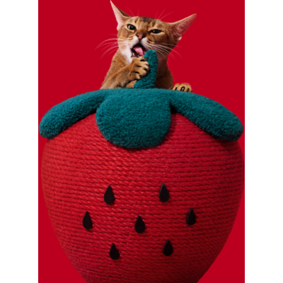 Brinquedo Arranhador para Gatos Vetreska Strawberry