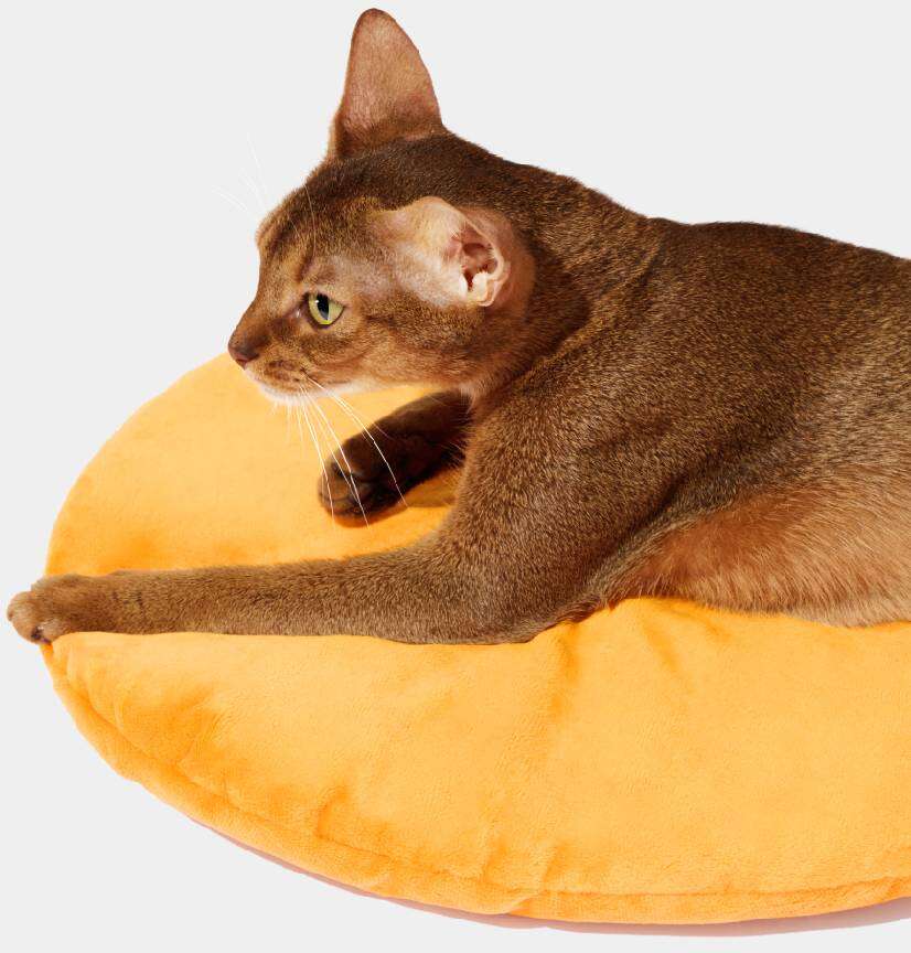 Cama para Gatos Vetreska Tangerina - Tam. Único