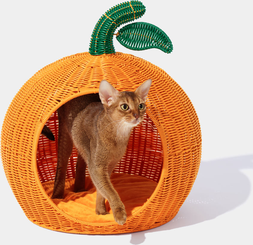 Cama para Gatos Vetreska Tangerina - Tam. Único