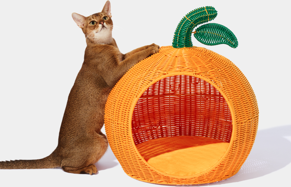Cama para Gatos Vetreska Tangerina - Tam. Único