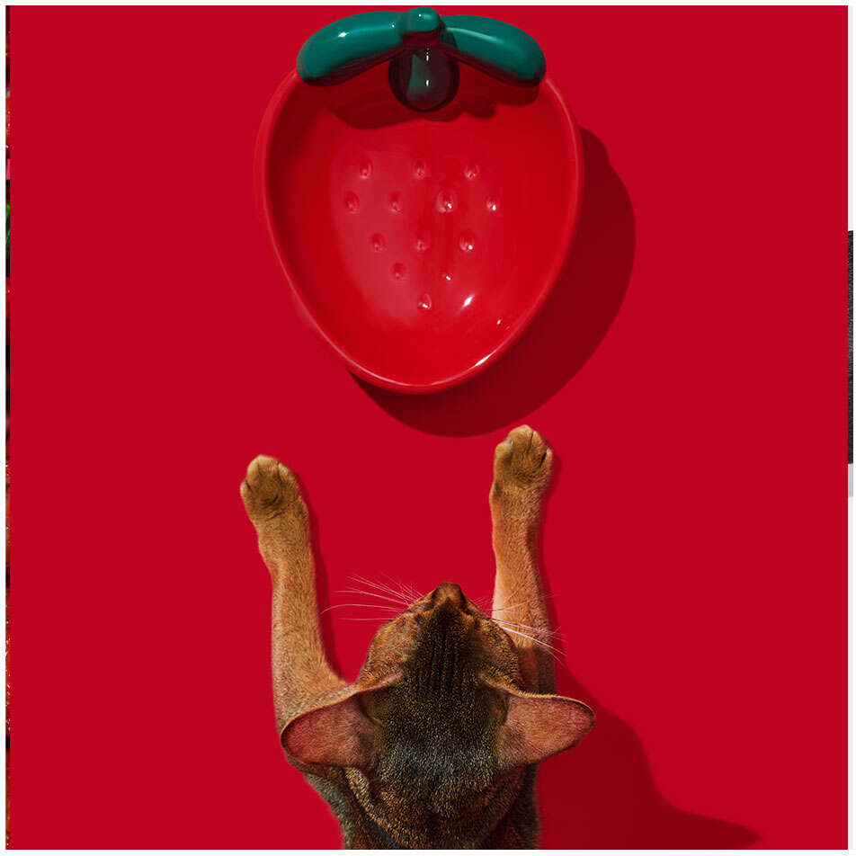 Comedouro de Cerâmica Vetreska Strawberry para Cães e Gatos - Tam. Único