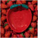 Comedouro de Cerâmica Vetreska Strawberry para Cães e Gatos