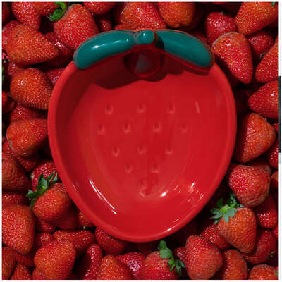 Comedouro de Cerâmica Vetreska Strawberry para Cães e Gatos